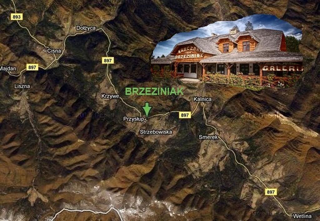 Bed and Breakfast Karczma Brzeziniak Цисна Экстерьер фото